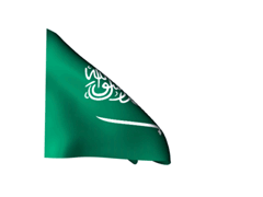 Drapeau_Arabie_saoudite_240_gif.gif